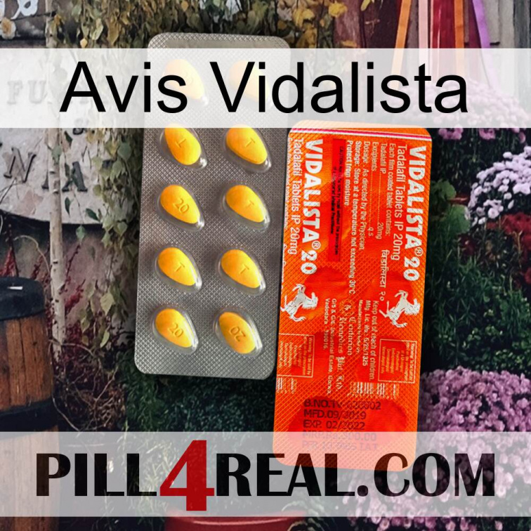 Vidalista Avis new01